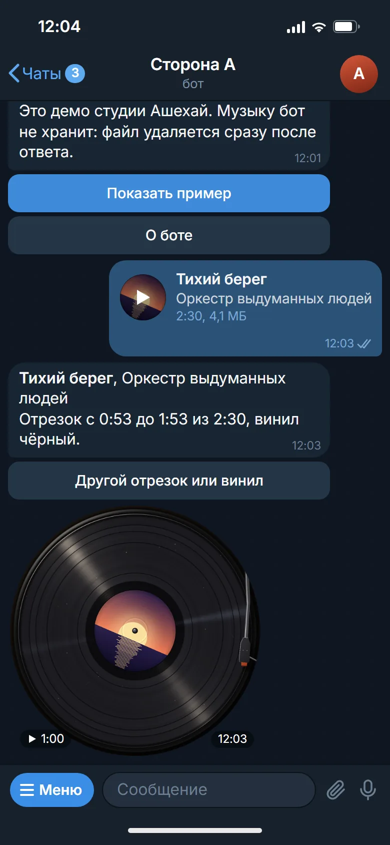 A track and the finished video note with a black record in the chat, a mockup of the bot screen